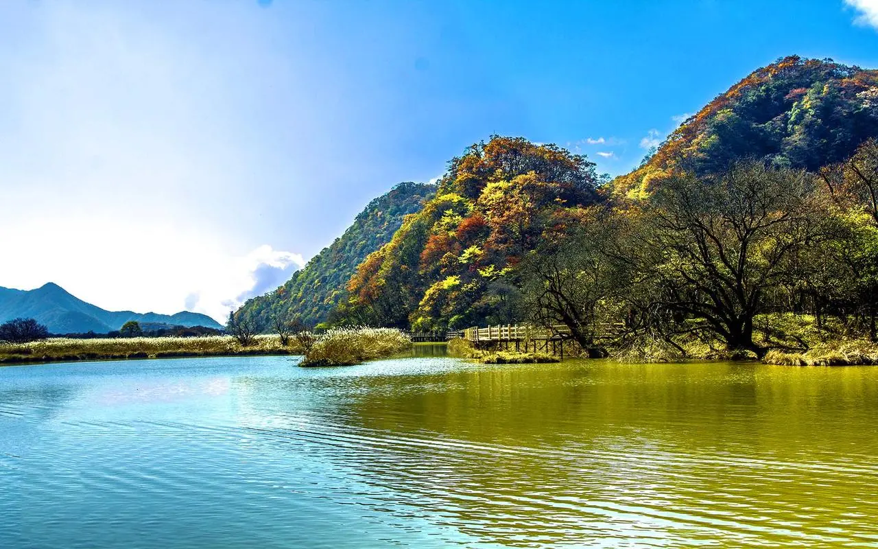 高性能高端